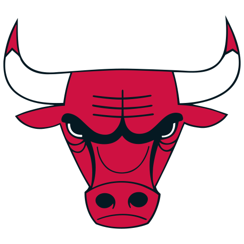 Chicago Bulls Team Logo