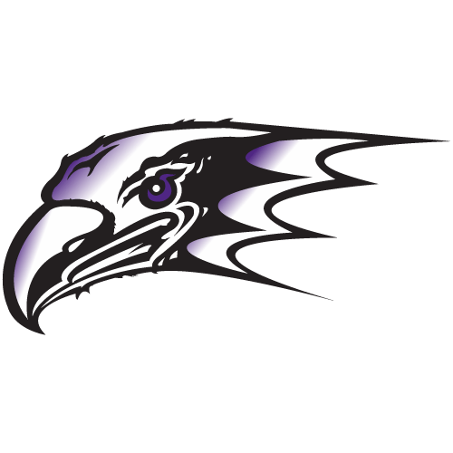 Niagara Purple Eagles Team Logo
