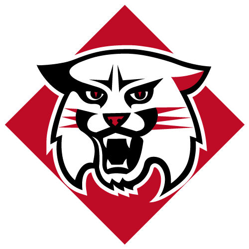 Davidson Wildcats Team Logo