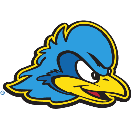 Delaware Blue Hens Team Logo