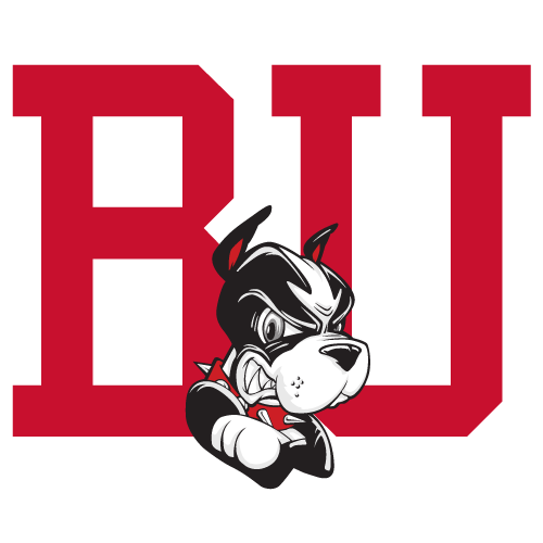 Boston University Terriers Team Logo