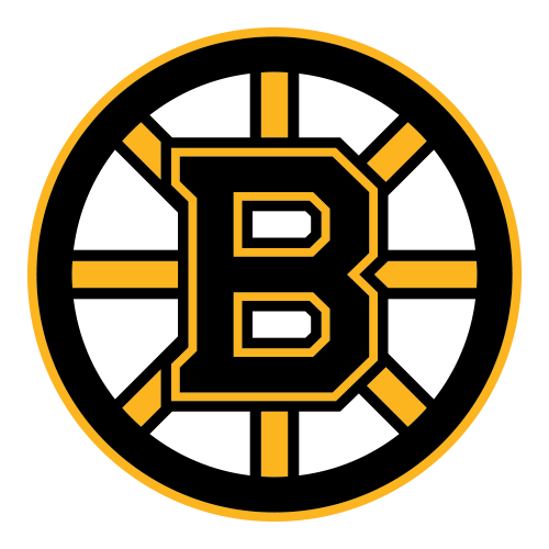 Boston Bruins Team Logo